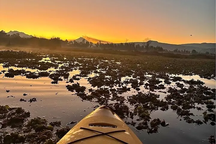Kayak through the UNESCO floating gardens of Xochimilco, visit a working chinampa, spot the axolotl in its natural habitat & explore San Ángel. Kayak, lunch & guide included · 5.5 hours.