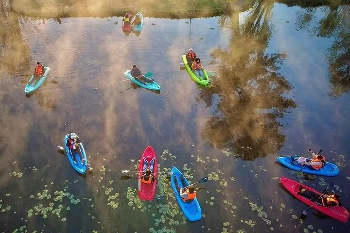 Kayak through the UNESCO floating gardens of Xochimilco, visit a working chinampa, spot the axolotl in its natural habitat & explore San Ángel. Kayak, lunch & guide included · 5.5 hours.